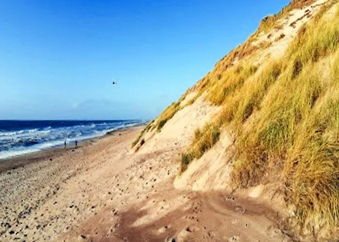 Luxury Pool House Near Sea - By Traum Ulfborg